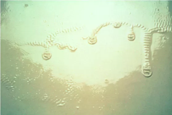 Подтеки на ЛКП