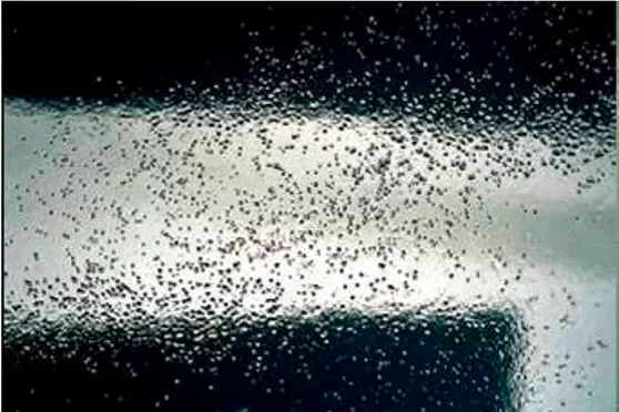 Вскипание на ЛКП