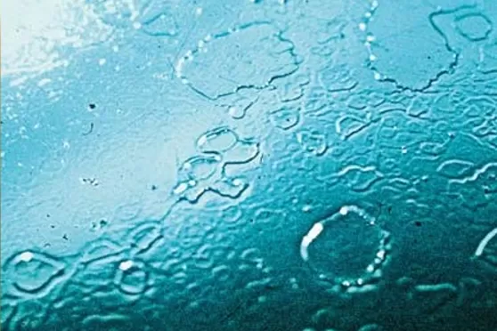 Водные пятна на ЛКП