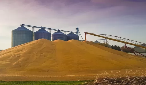 Агропромышленный комплекс