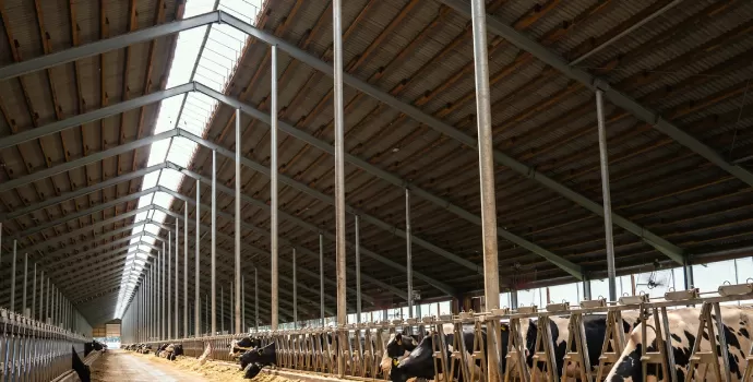 Здания из металлоконструкций в агропромышленном комплексе