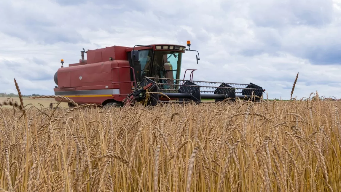 краска спецтехника сельхозмашины