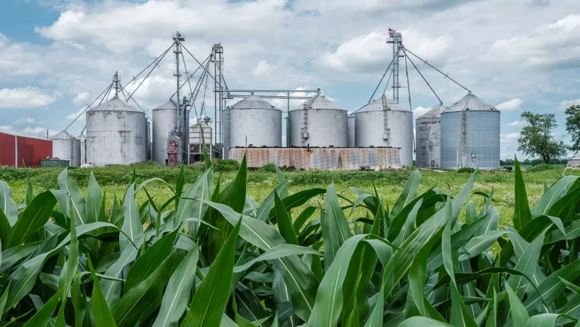 Защитные покрытия для резервуаров и силосов