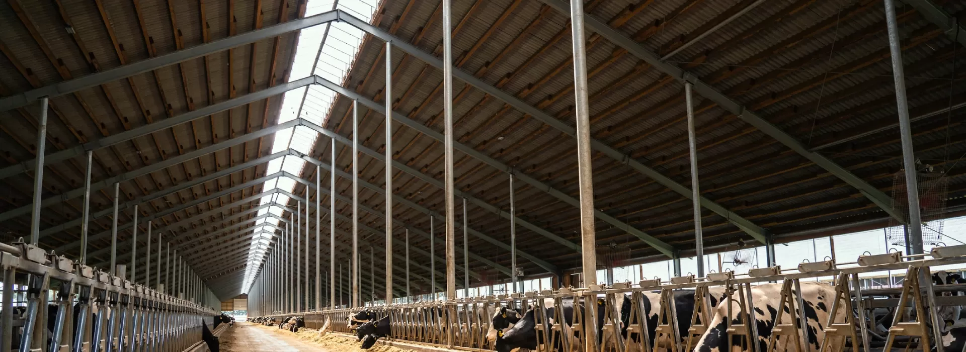 Здания из металлоконструкций в агропромышленном комплексе